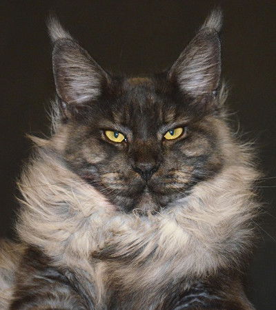 Питомник Granpatron