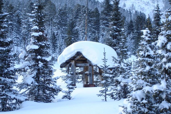 Олег Панасюк