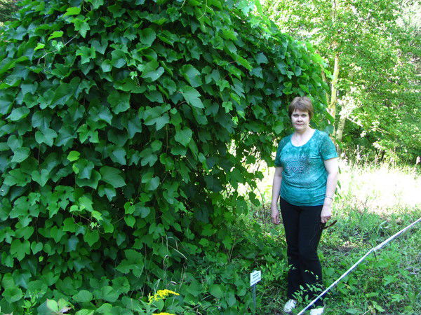 Наташа Чувашова