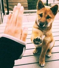 Саша Вайман