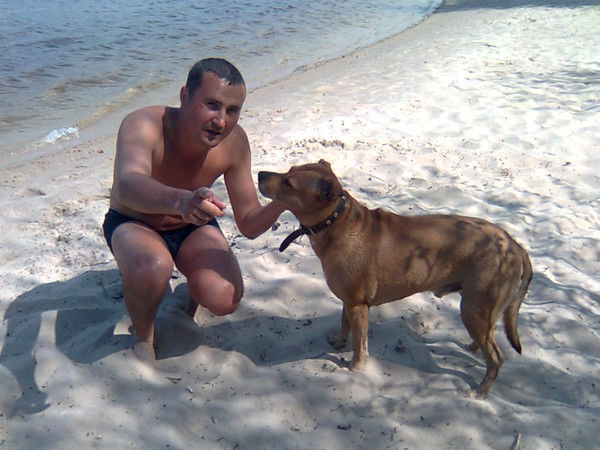 Сергей Шейченко