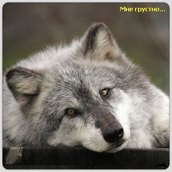 Надежда Казанкова