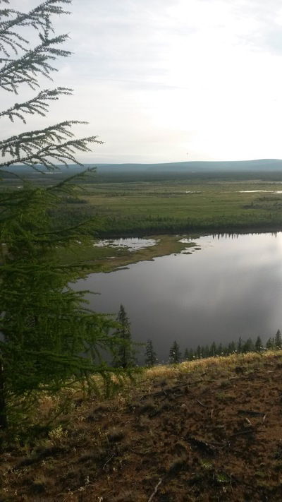 Куннэй Куннэева