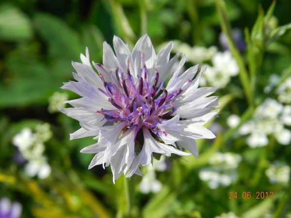 Наталья Прокопенко