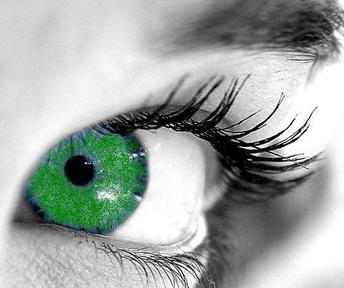 Елена Кольцова