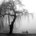 Виктор Войтык