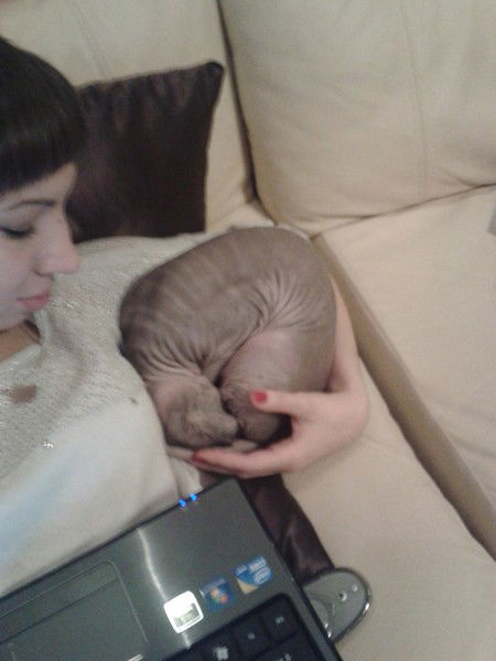 Юлия Конькова