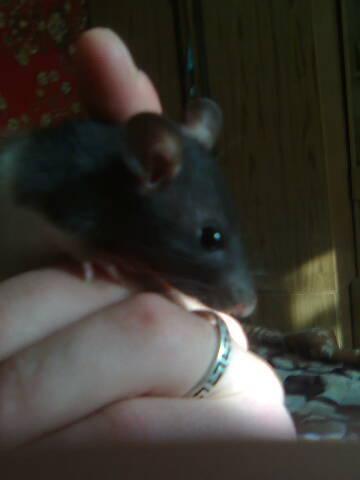 Михаил Иванов