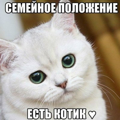 Яна Андрухович