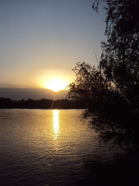 Татьяна Евстифеева (Зарубина