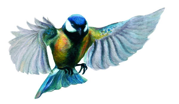 Агафонов Илья