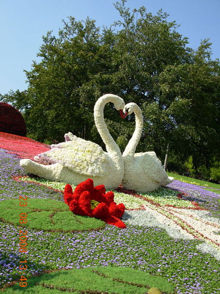 Ира Миховская