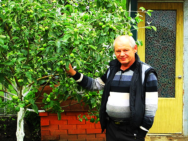 Владимир Тищенко