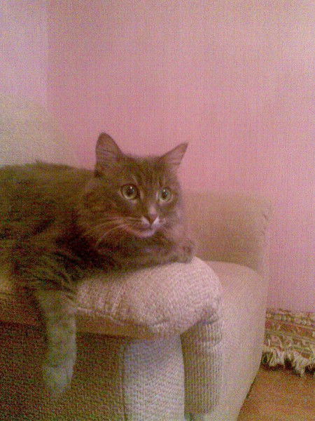 Людмила *******