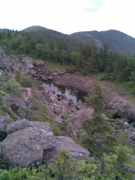 Андрей Дальменов