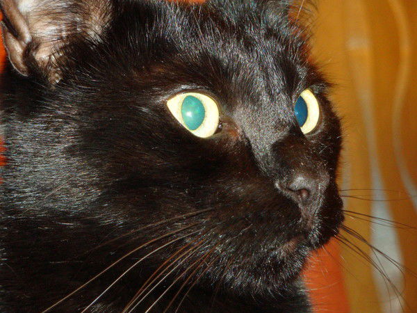 Наталья Гирич