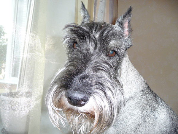 Андрей Белов