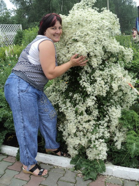 Натал@я Натал@я