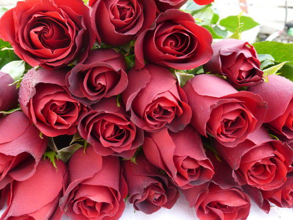 Мария Накорякова