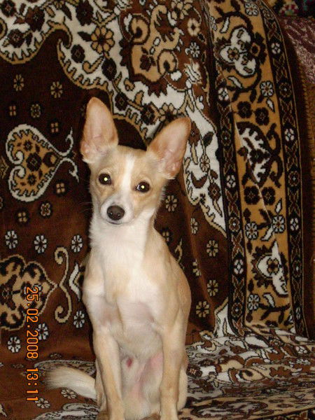 Александр Мигур