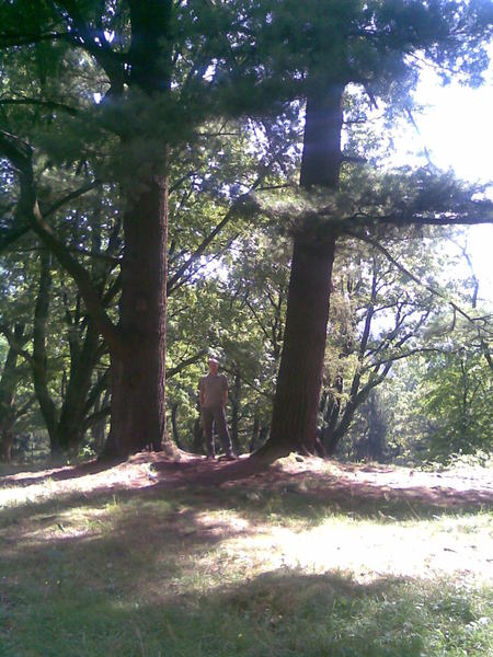 Константин Борисик