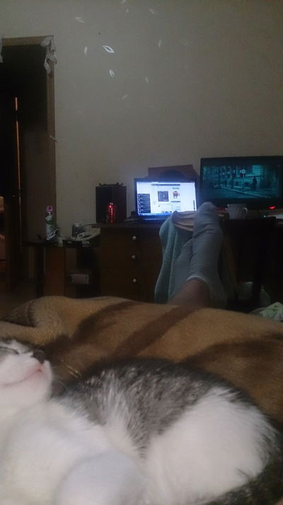 Александр Бахарев