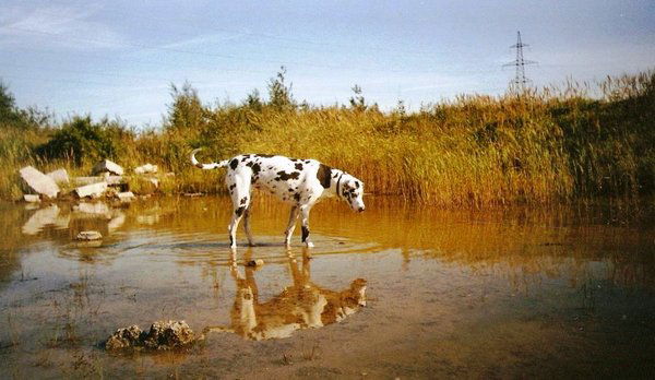 Александр Нюньков