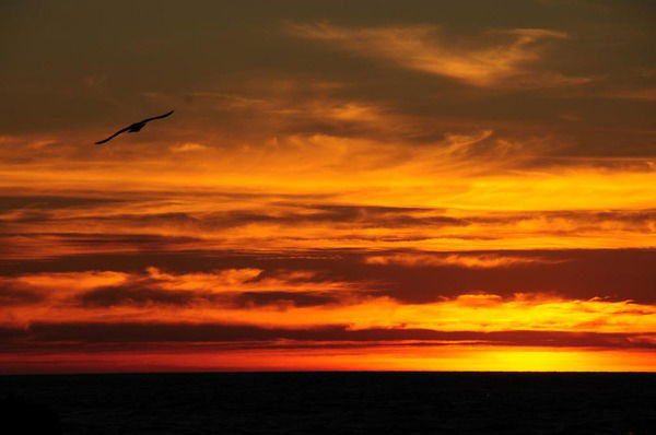 Елена Щербакова