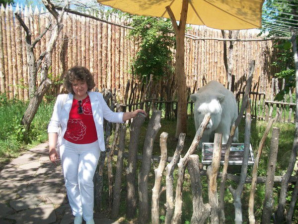 Елена Терещенко