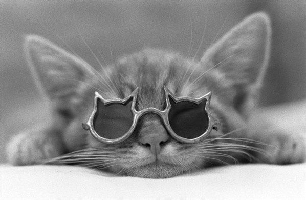 Галина Покалина