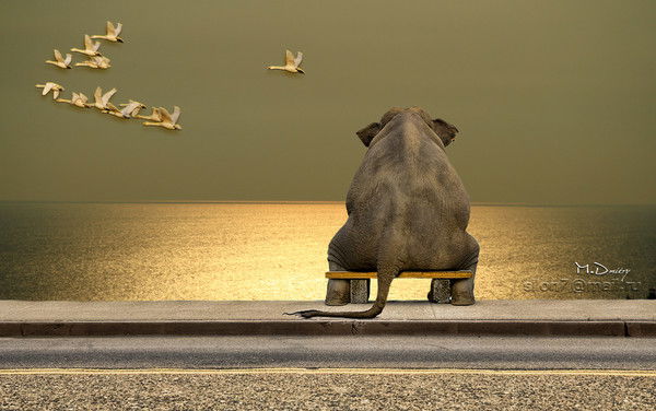 Олег Долгих