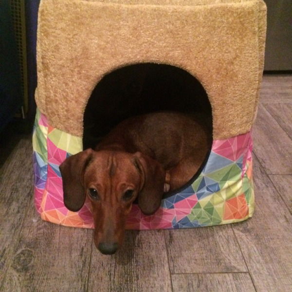 Маргарита Гудкова