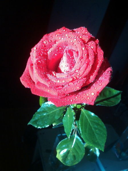 Индира Нургожина