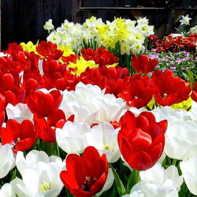 Виктория Мироненко