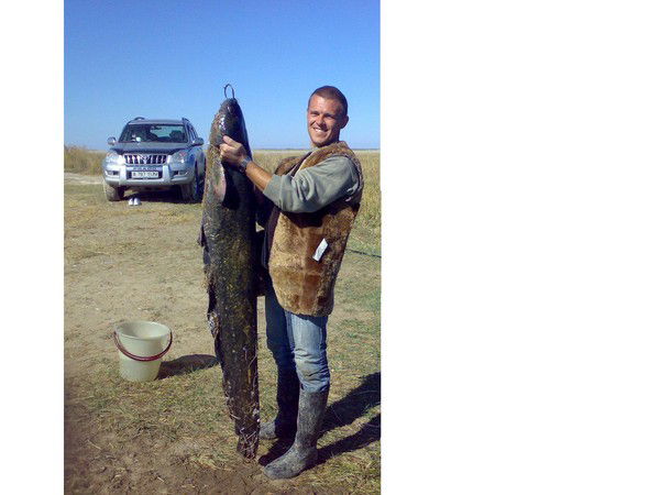 Станислав Алёшин