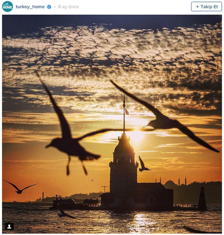 Mehmet.yalcin B.aslan