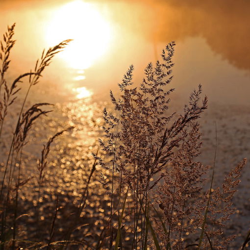 Мадинка ................