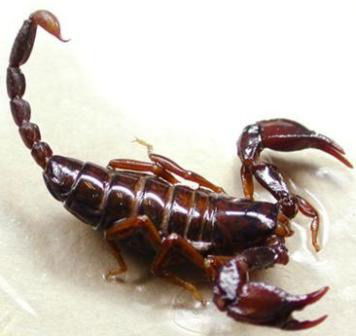 Владимир Исаков