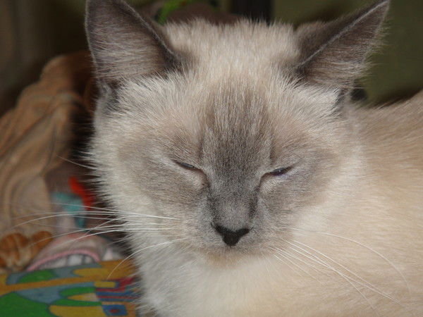 Наталья Литвинова