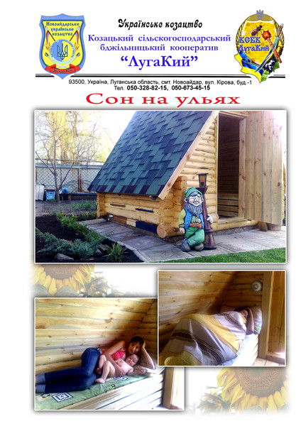 Александр Шевчук