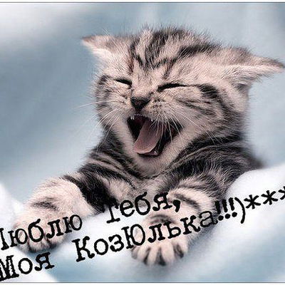 Геннадий Васильев