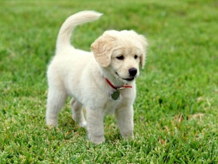 ((The Best Alinachka*@))