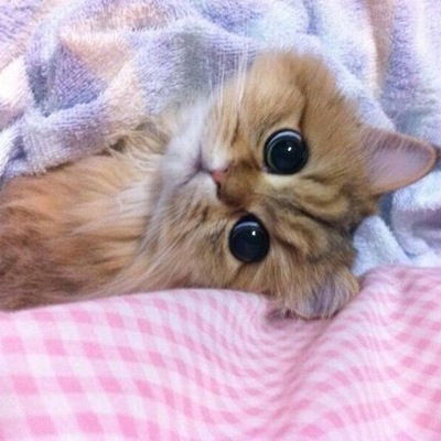 Энже Бадритдинова