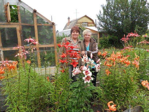 Валентина Свахина