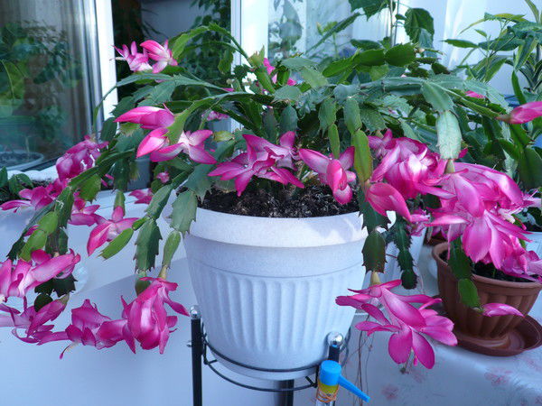 Нурия Назырова