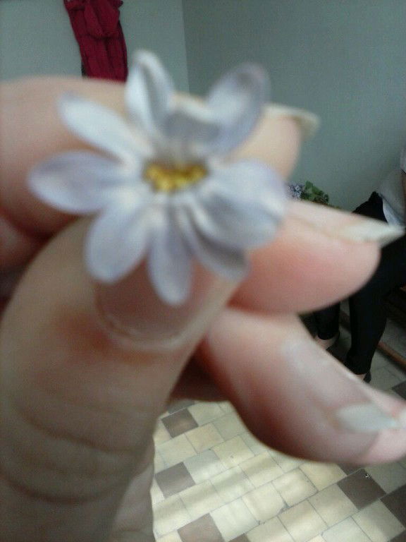 Юлия Клишанец