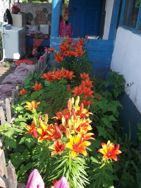 Слушаш Смакова