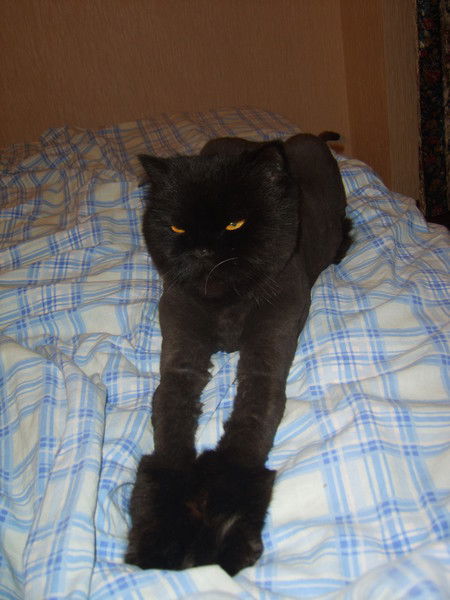 Александр Зиньков