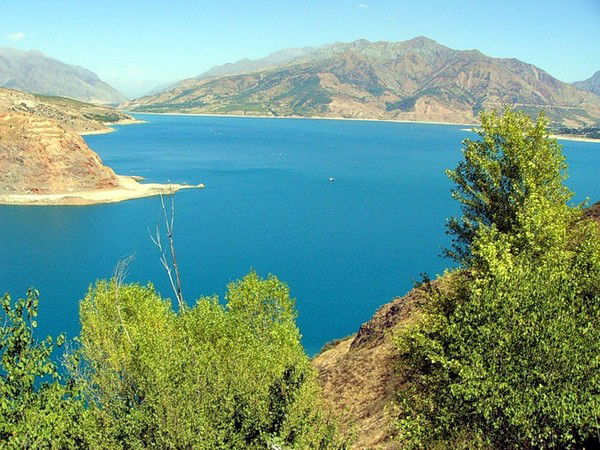 Сергей Михайличенко