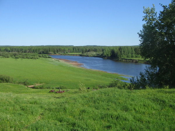 Андрей Вешняков